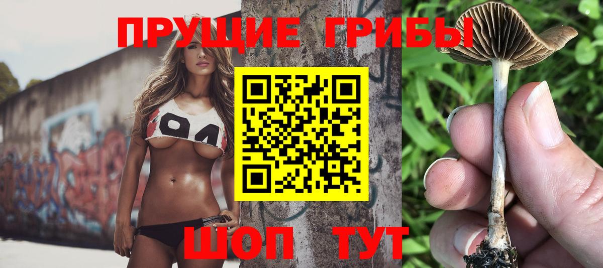 Псилоцибиновые грибы MAGIC MUSHROOMS Выкса