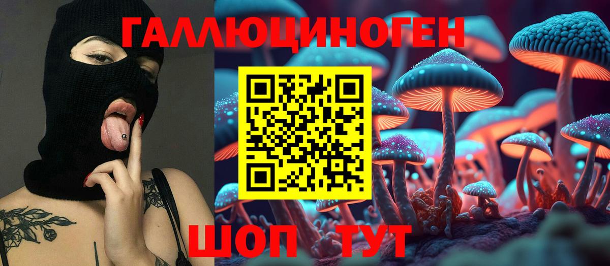 Выкса  Псилоцибиновые грибы Psilocybe  Вход с VPN 